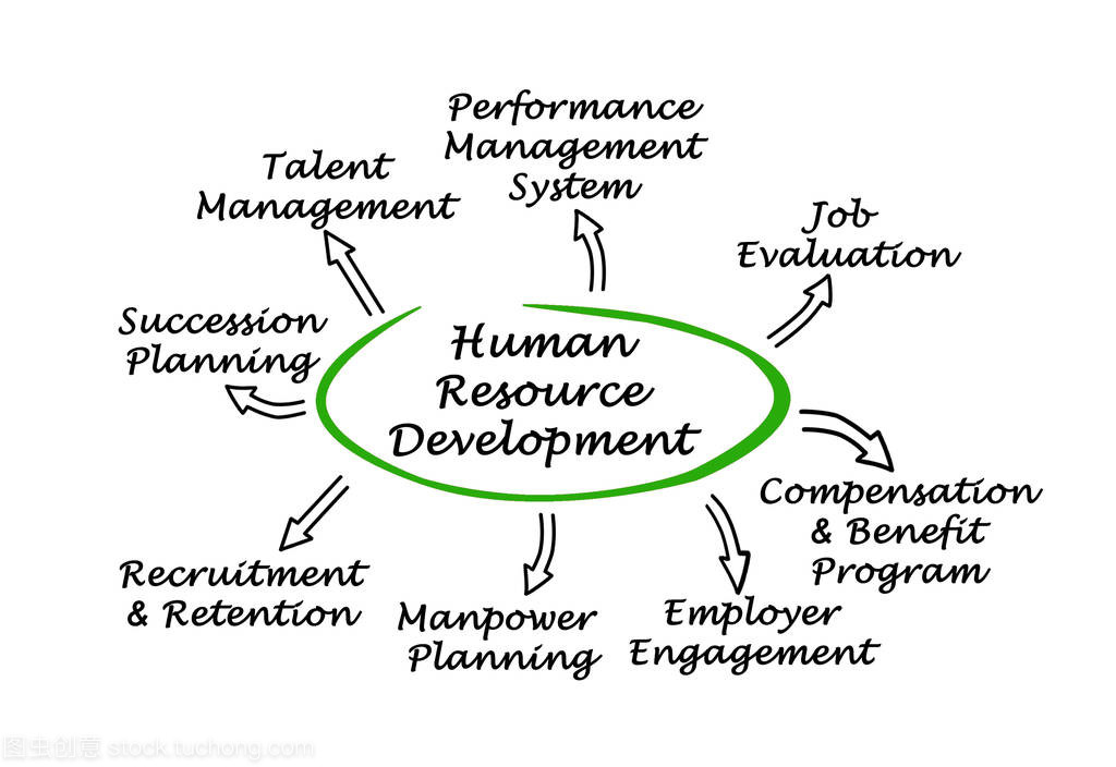 人力資源開發的組成部分