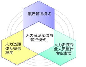 集團人力資源管控職能定位