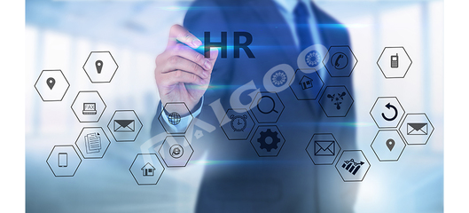 【人力資源知識百科】hr是什么意思 人力資源管理六大模塊_知識頻道_買購網