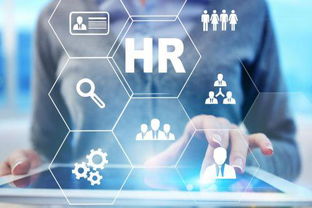 想知道人力資源的職位簡稱hr hrd hrm的意是什么思和發展方向的順序