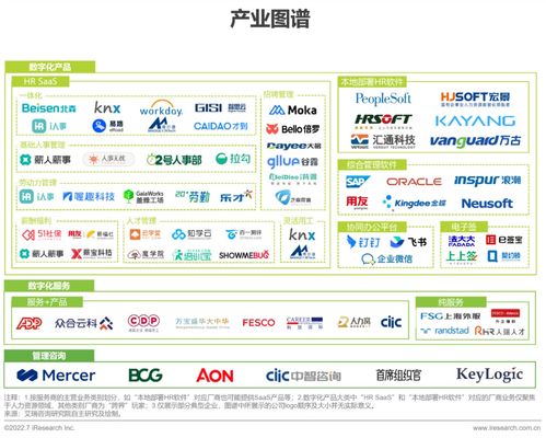 2022年中國人力資源數字化研究報告