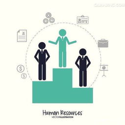 人力資源外包,國內有哪些比較受歡迎的項目