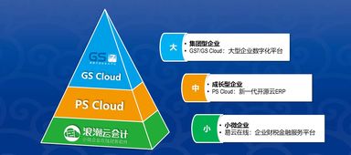 浪潮云ERP 中國SaaS市場人力資源領域的引領者