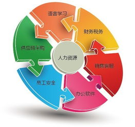 人力資源審計(jì)概述