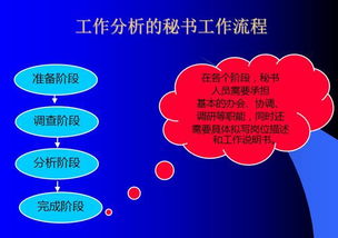秘書與人力資源管理 從工作分析視角看融合與價值